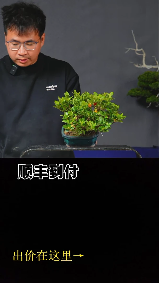 无花朵c026一寸法师bubaoyou、