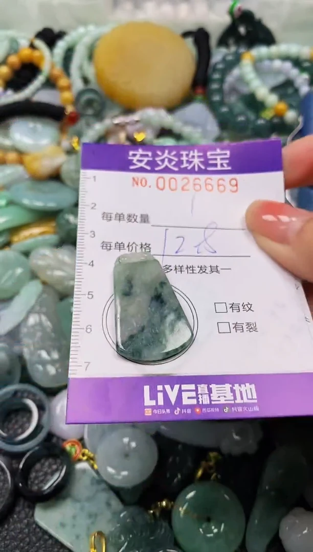 颈饰未镶嵌翡翠闪购0026669