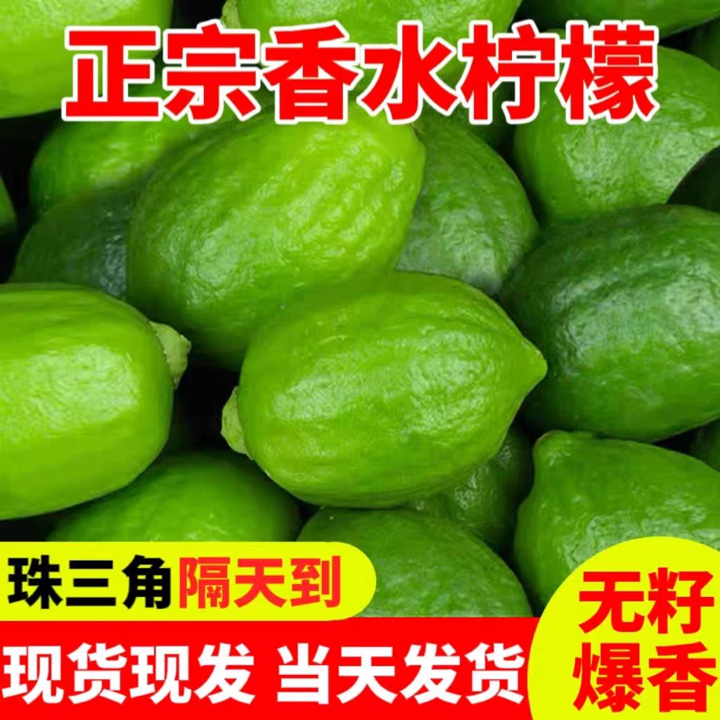 广东香水柠檬正宗当季新鲜青柠檬一级无籽大果现摘水果奶茶店专用