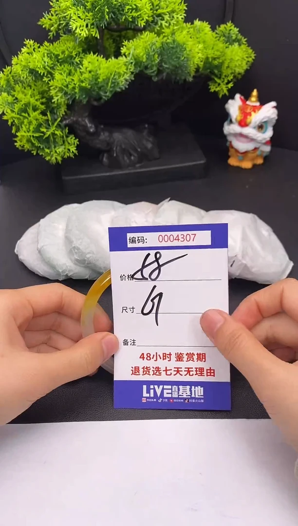 未镶嵌手镯翡翠0004307