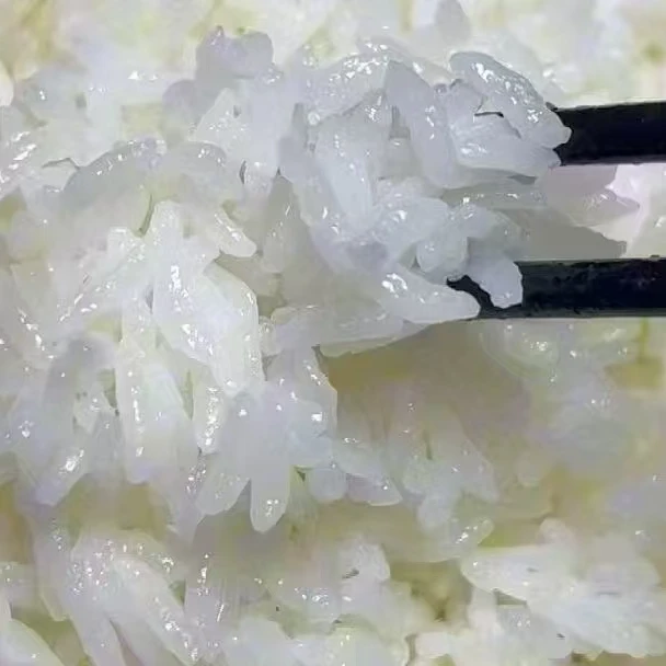 舒兰兴安村东北黑土五常中长粒香米当季新鲜农家大米