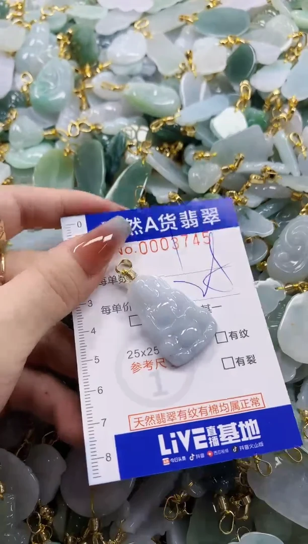 颈饰未镶嵌翡翠天然A货翡翠