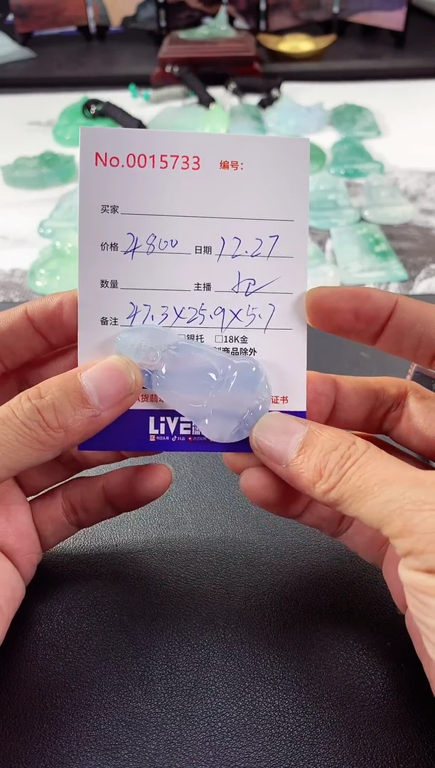 颈饰未镶嵌翡翠素衣