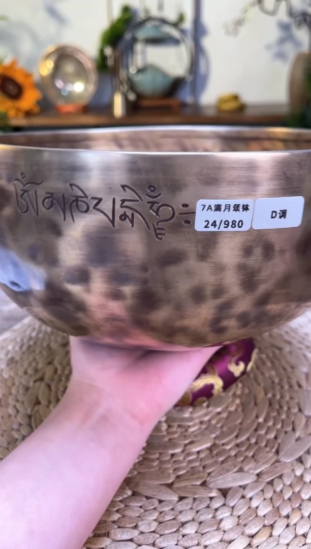 【闪购商品】满月口径24CM-D调(无配件)