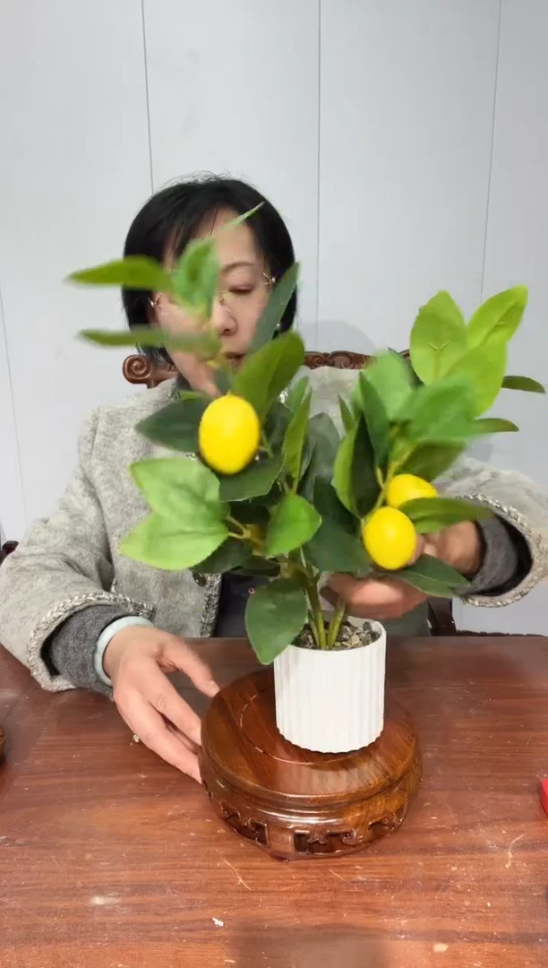 木老花圆形17*18.5*6.5