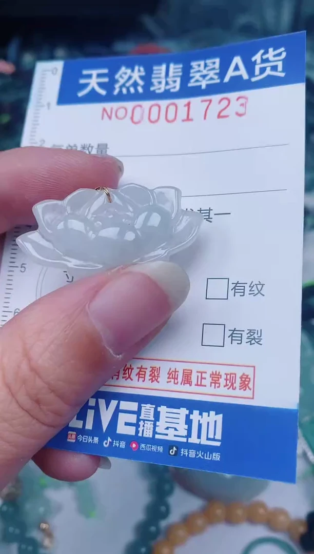 颈饰未镶嵌翡翠00001723