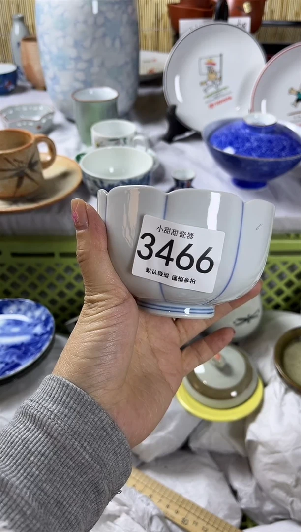 【闪购商品】碟             3466