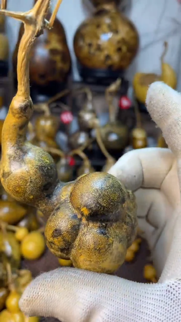 【闪购商品】葫芦葫芦葫芦葫芦葫芦