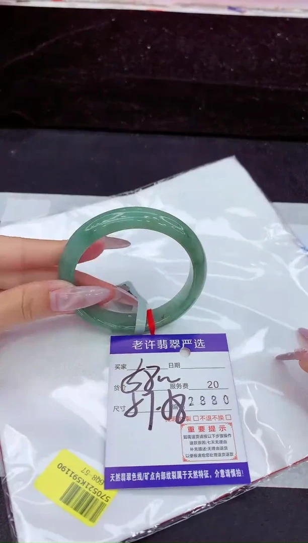 未镶嵌手镯翡翠1