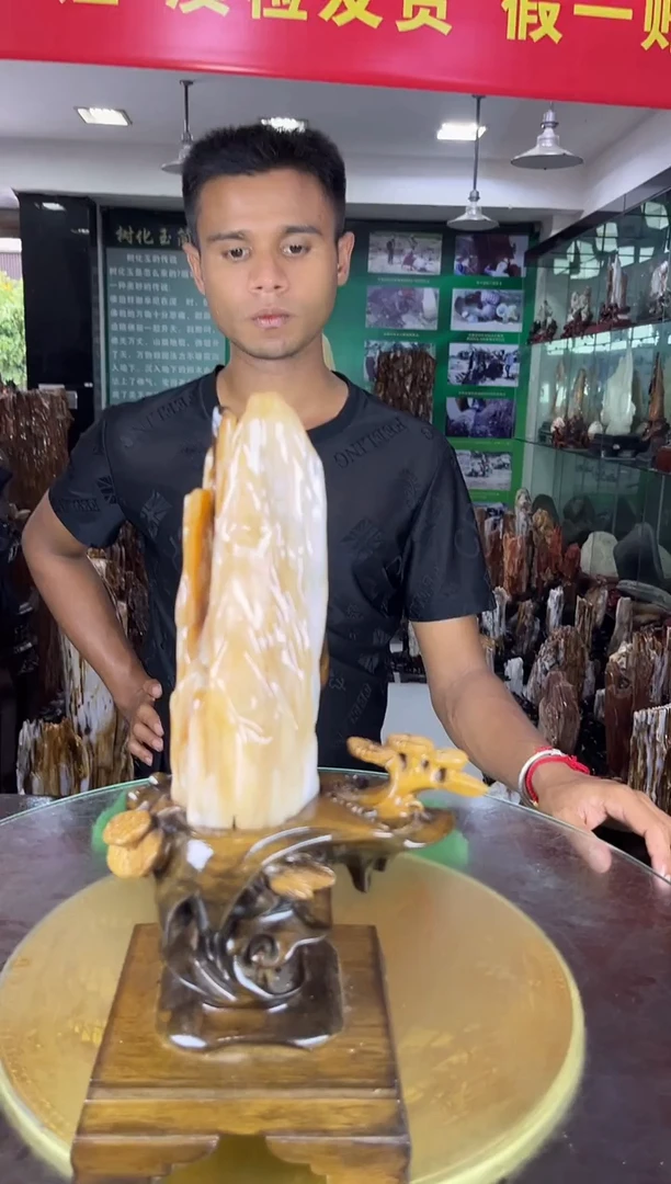 未镶嵌珠宝奇石硅化玉缅甸天然树化玉摆件
