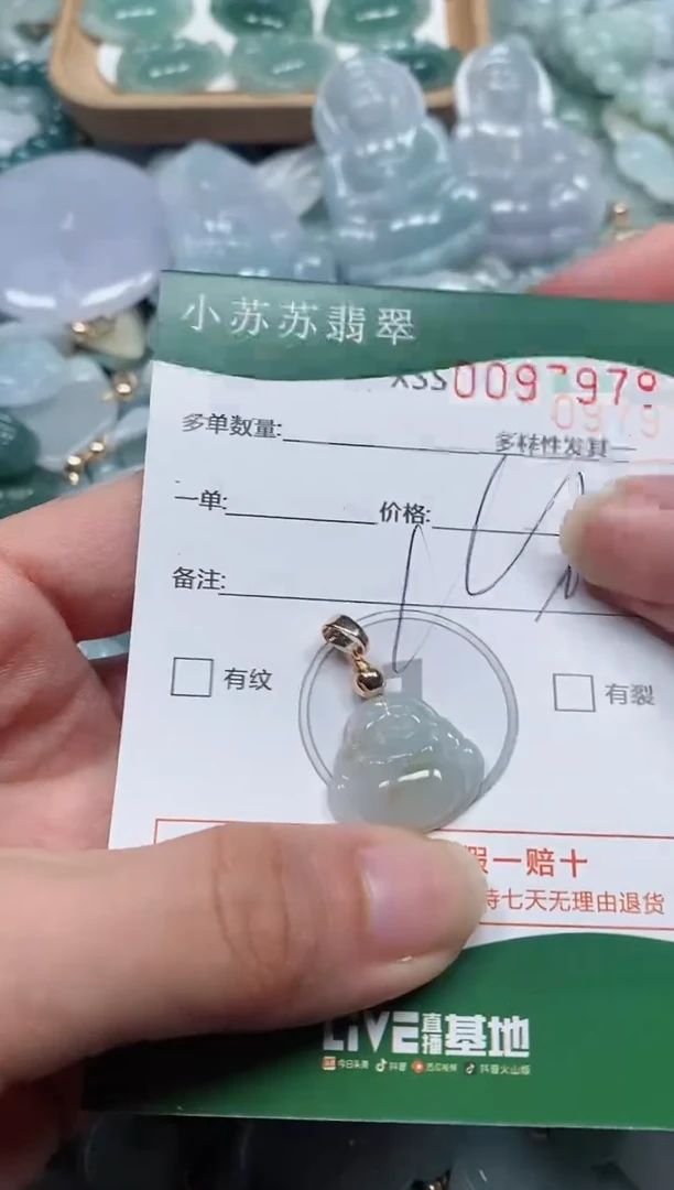 【闪购商品】翡翠颈饰未镶嵌闪购商品0097978