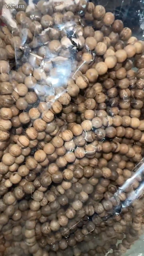 菲律宾莱特岛5mm念珠多样性发其一