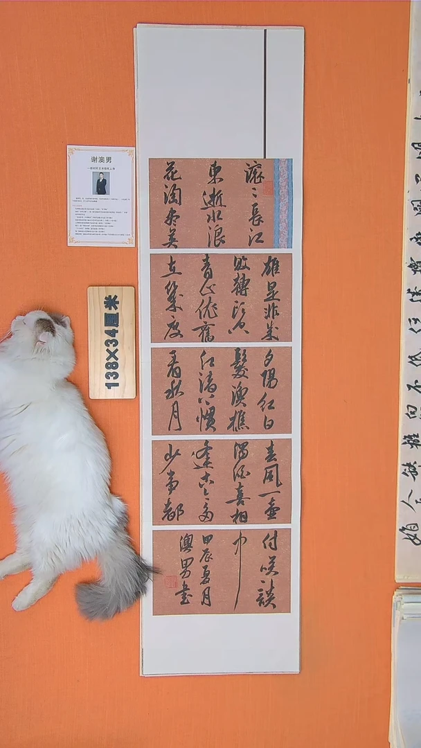 书法谢老师书法作品138*34临江仙