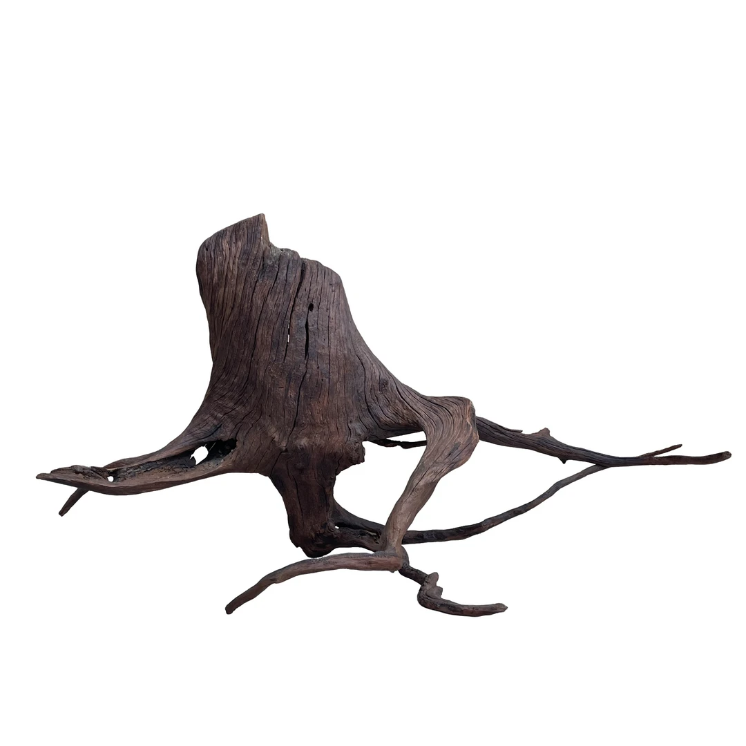 鱼缸，雨林造景沉木紫柚木精品树桩