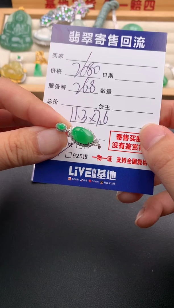 翡翠18K金镶嵌颈饰10138558
