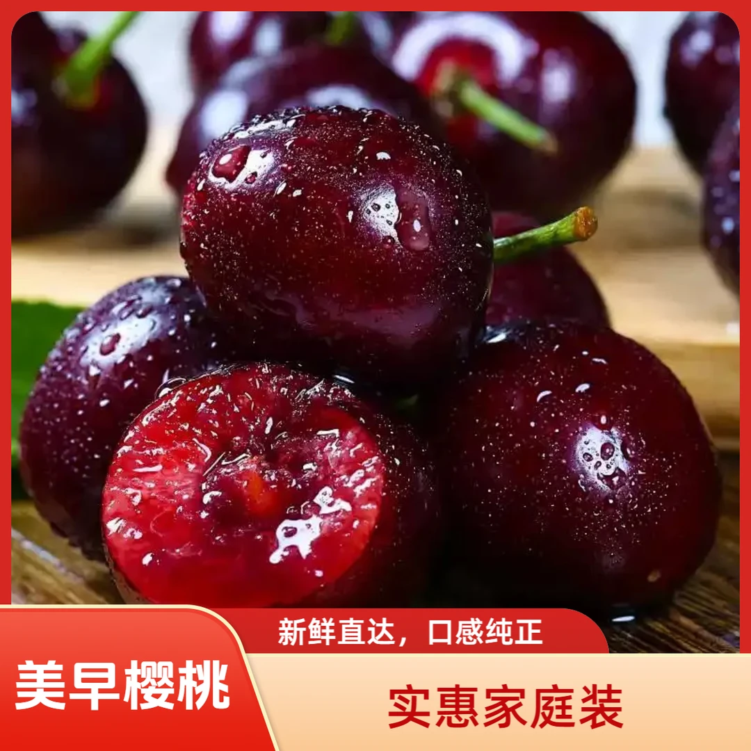 【美早】大连美早樱桃顺丰空运 现摘现发 甜脆香甜