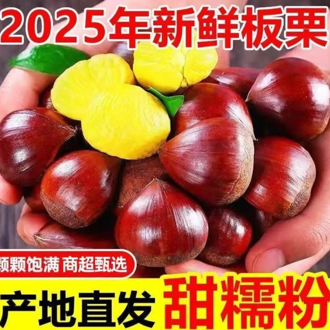 2025新鲜现摘高山板 栗甘甜清脆生栗子板 栗送开栗爪 行李箱专属