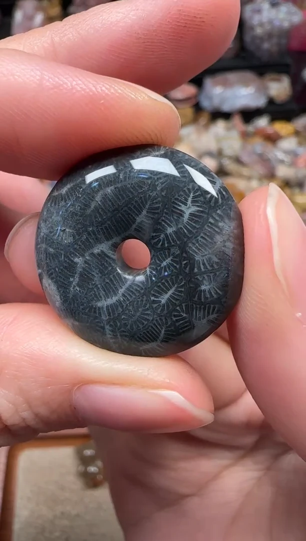 颈饰未镶嵌硅化珊瑚（珊瑚玉）403