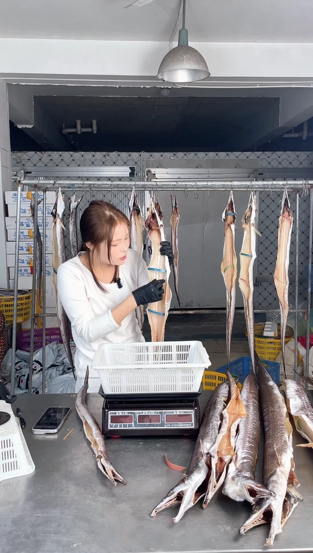 中国大陆3.5斤风鳗1条