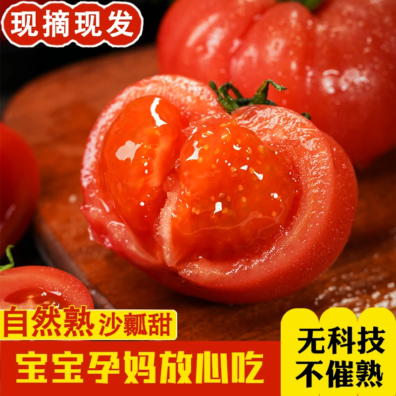 【顺丰/京东】正宗陕西泾阳普罗旺斯西红柿新鲜沙瓤甜爆汁3/5斤