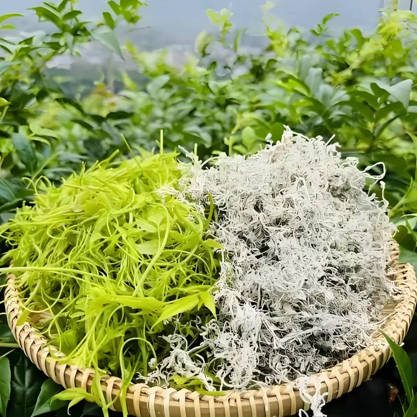 来凤藤茶100g袋装【2025年新茶】