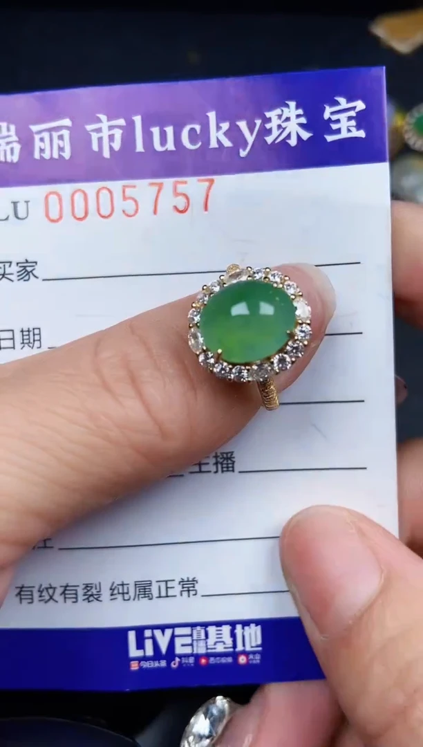 翡翠银S925镶嵌颈饰5757