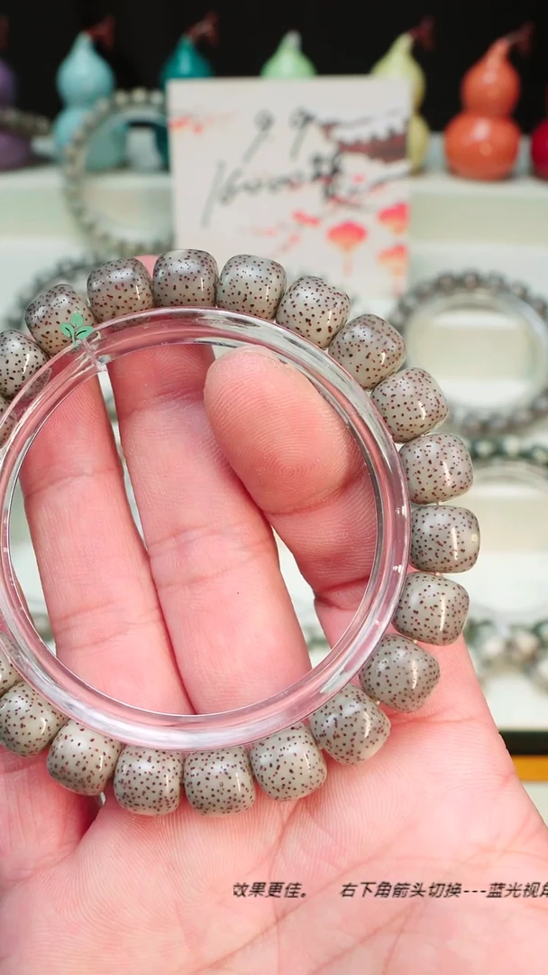 手串星月菩提海南石玉料星月菩提 一物一图 黑冰