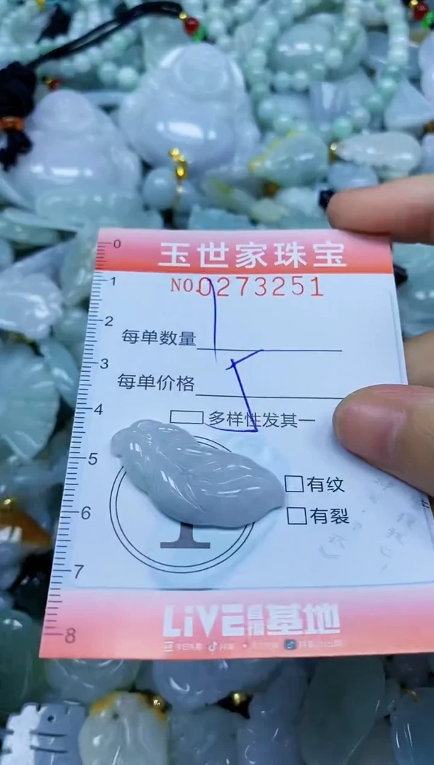 翡翠未镶嵌颈饰闪购0273251