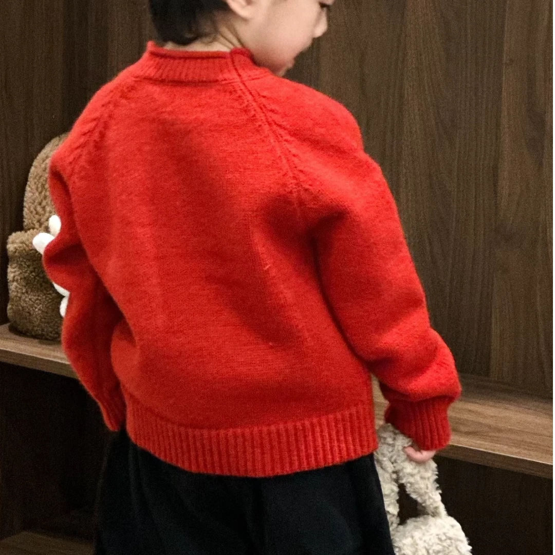 男童简约套头秋冬毛衣厚款800-850