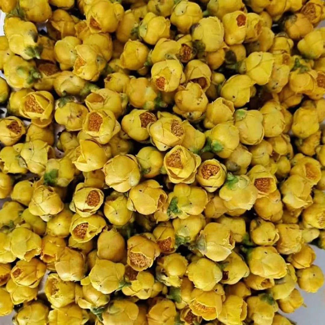 云滇山货——金花茶