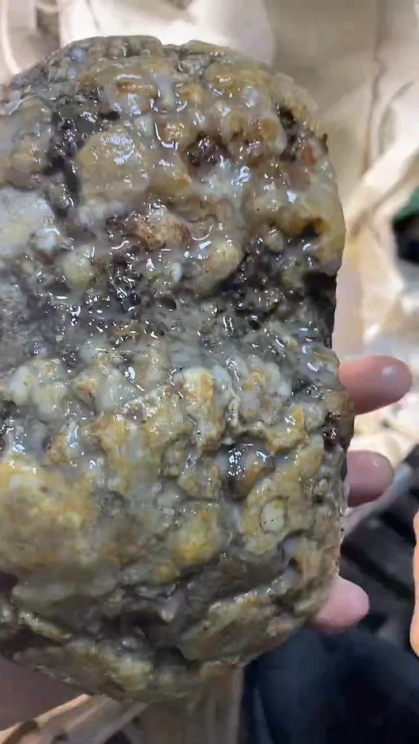 定制玛瑙眺**山5860轮胎4000292