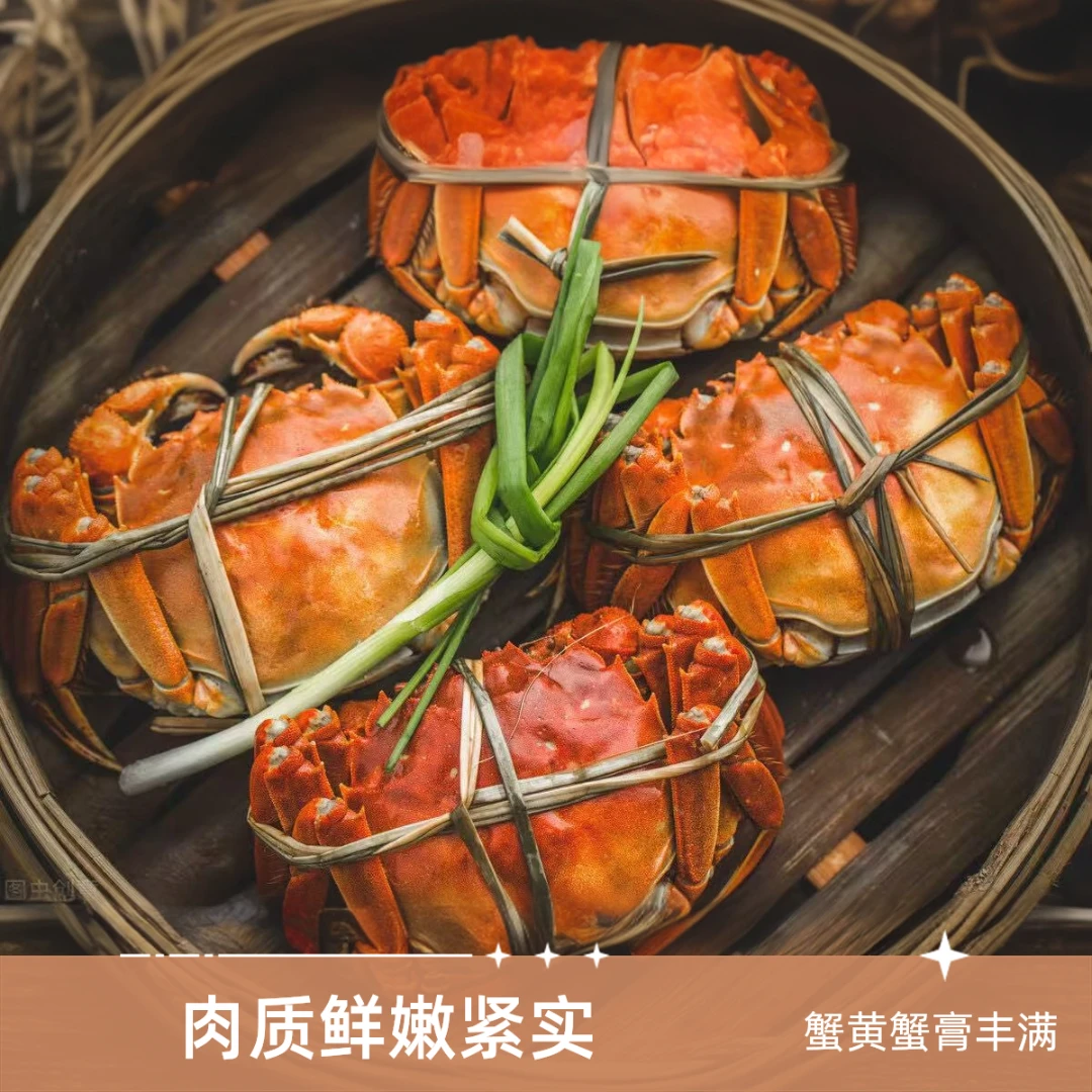 【活蟹】盘锦河蟹全母螃蟹1.7-1.4两2斤螃蟹净重新鲜全母蟹
