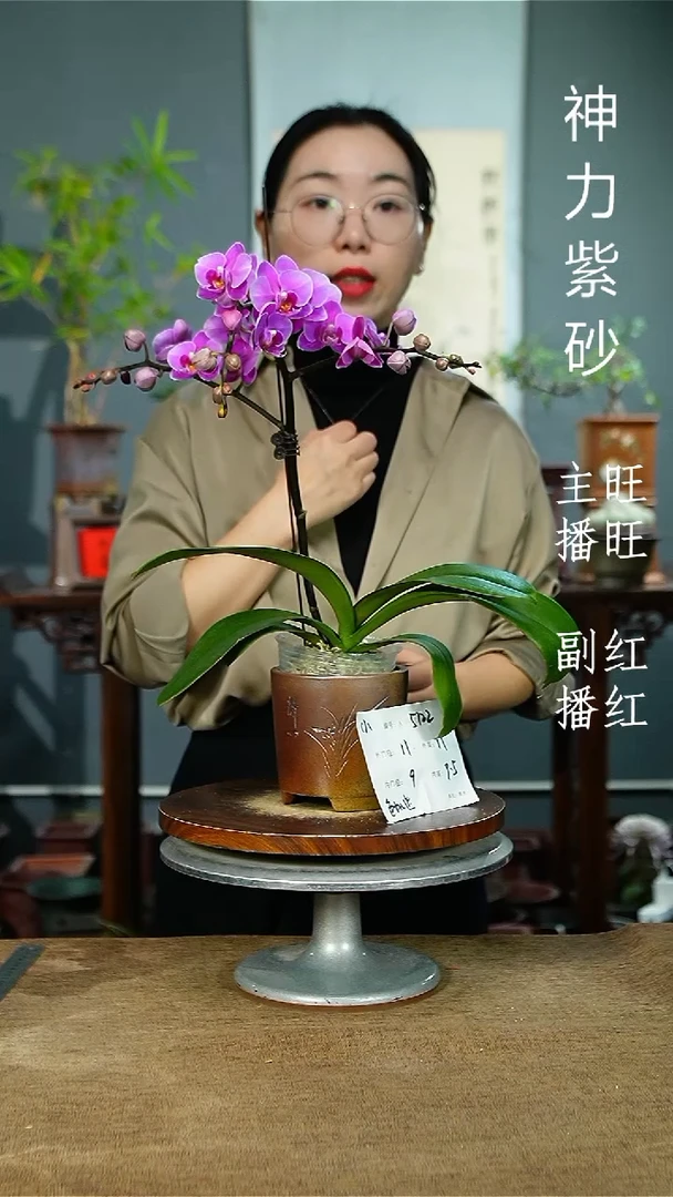 紫砂花盆5122 紫砂花盆紫砂