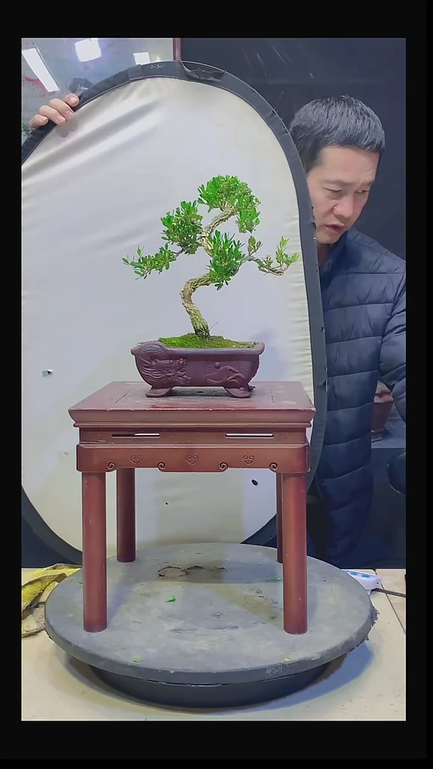 无花朵农***馆1111111111111