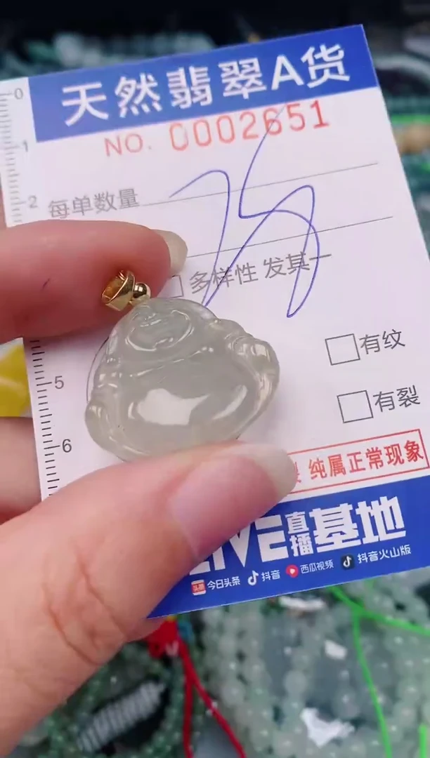 颈饰未镶嵌翡翠00002651