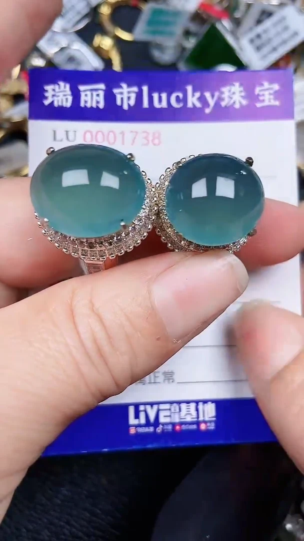 颈饰未镶嵌翡翠1738
