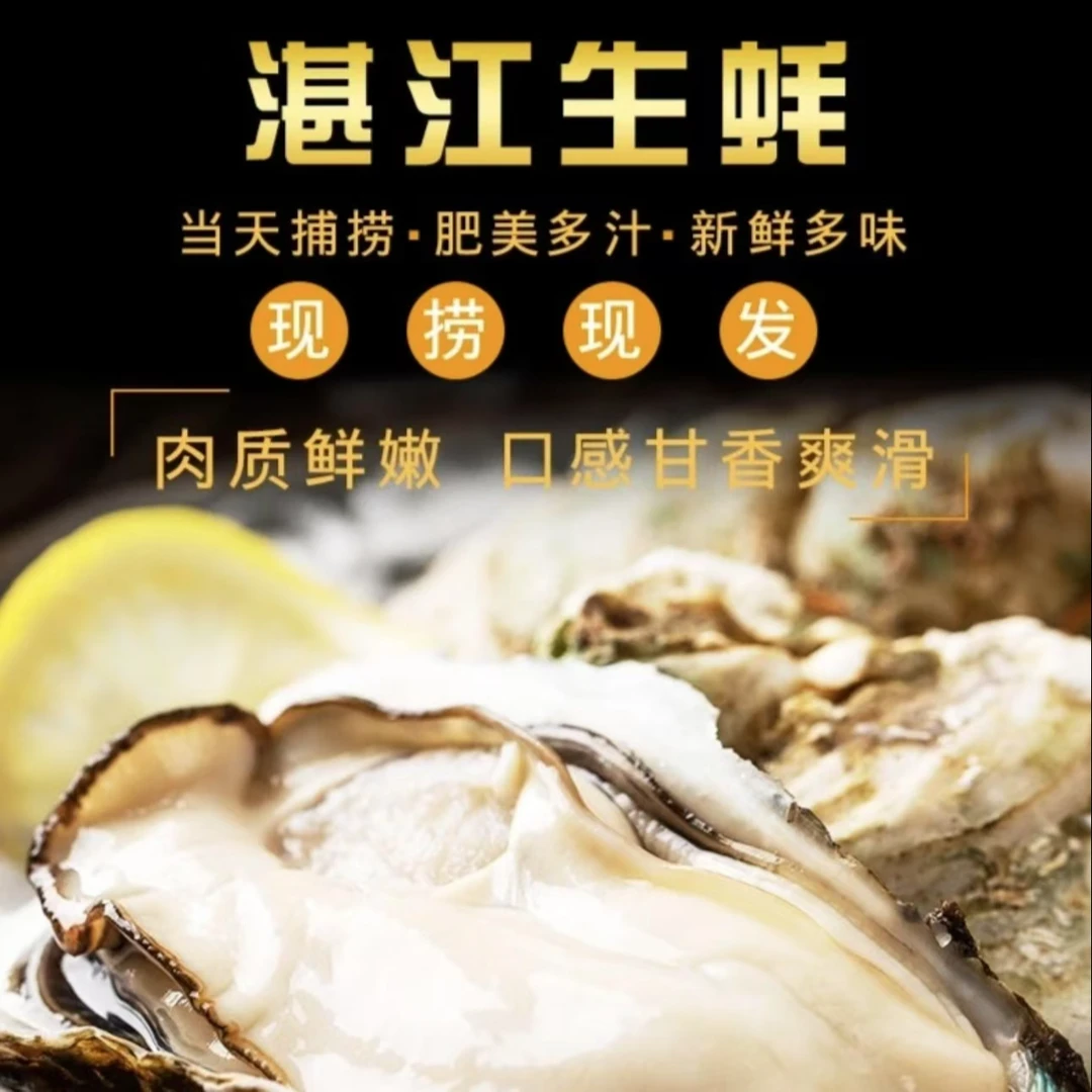 【买五斤送一斤】正宗湛江生蚝 原只带壳  味新鲜保存