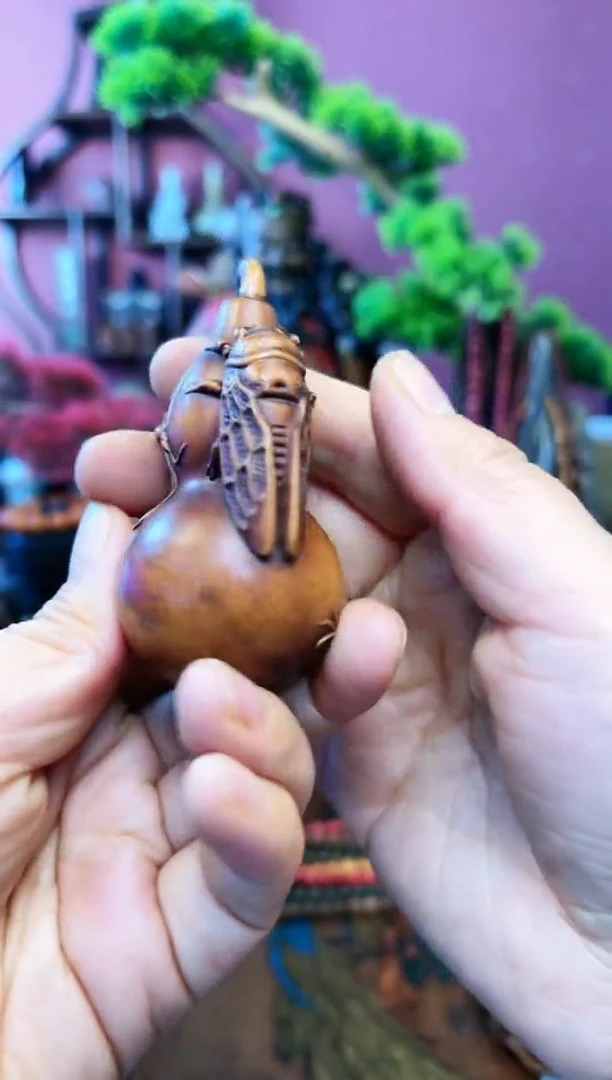 【闪购商品】妍妍福利场编号55-知了葫芦