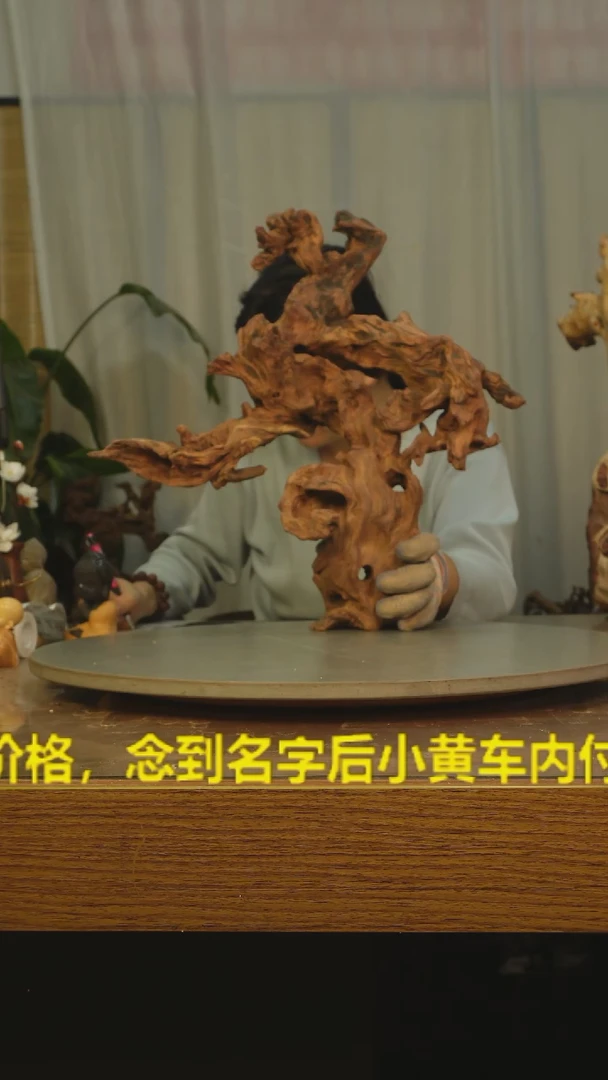 木s***a云南红河金丝红457