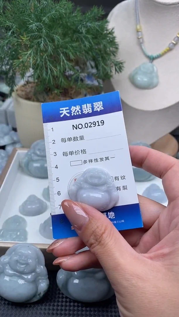 颈饰未镶嵌翡翠纯天然A货缅翡2919