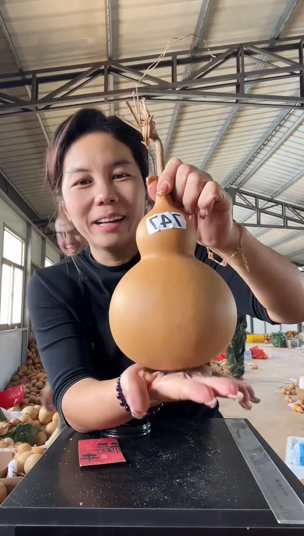 746天然葫芦摆件 一物一拍龙头不保售后