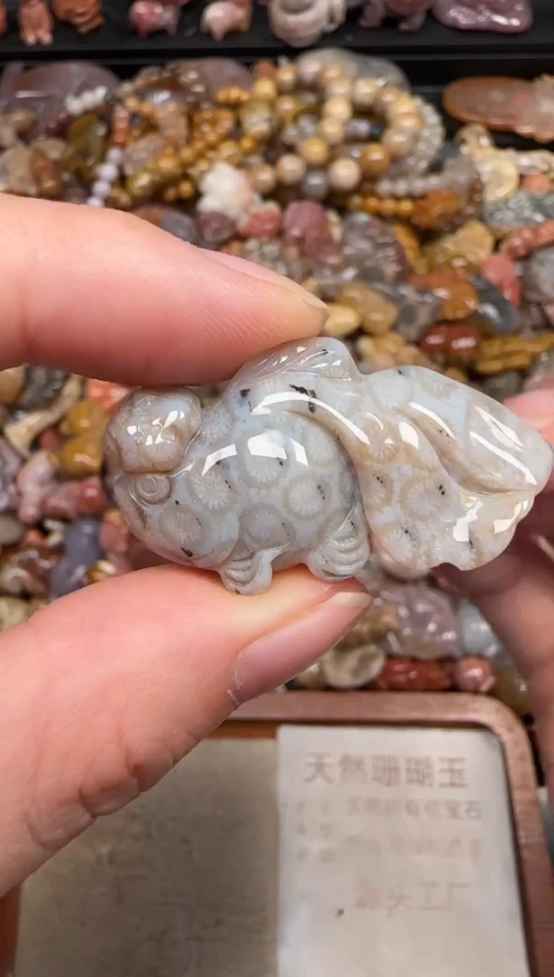 硅化珊瑚（珊瑚玉）未镶嵌颈饰009