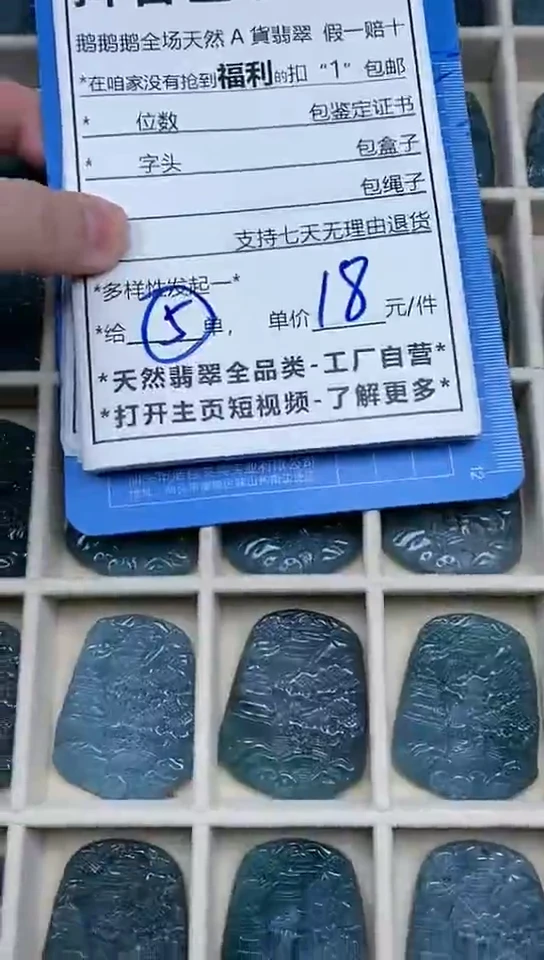 【闪购商品】翡翠颈饰未镶嵌多样性发其一