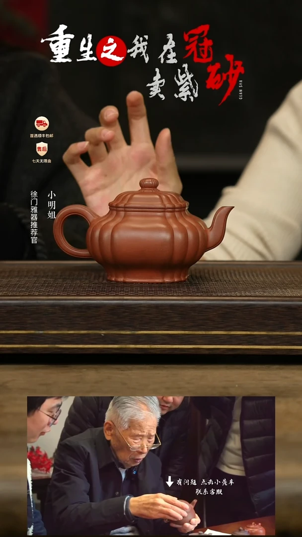 徐门雅器紫砂茶壶118