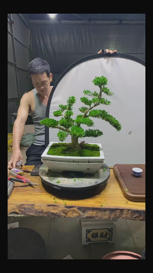 无花朵赵*赵111111111111