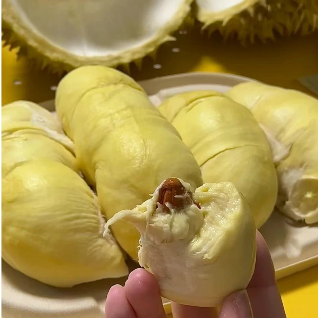 新鲜1号称泰国树熟金枕2斤纯肉   一物一拍 干包黄肉   核小榴莲同城送金枕泰国小时达金枕泰国