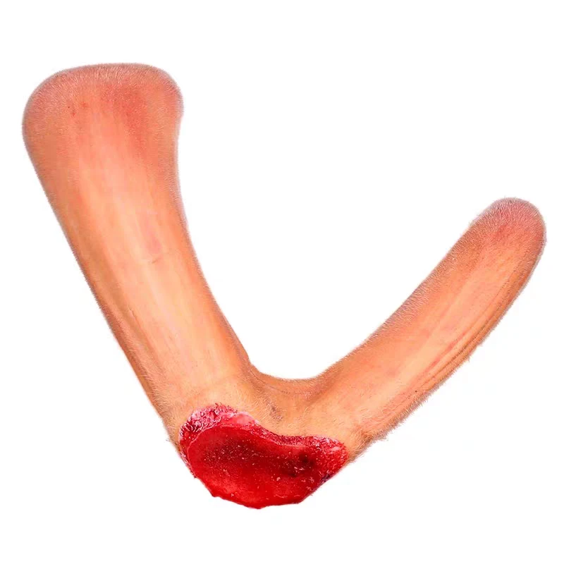 吉林鹿乡鹿茸直播间挑选