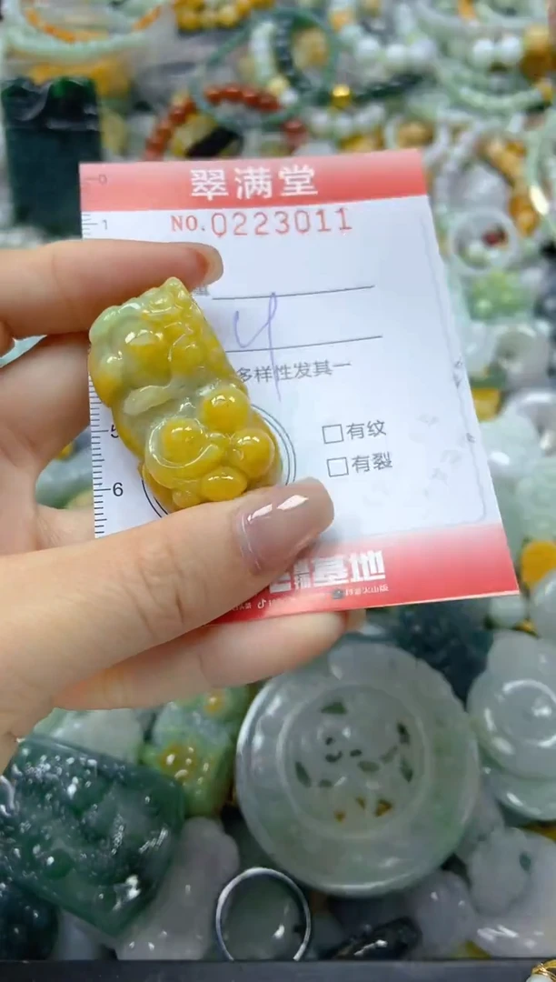 颈饰未镶嵌翡翠闪购0223011