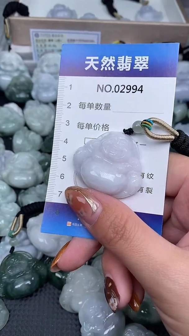 颈饰未镶嵌翡翠纯天然A货翡翠2994