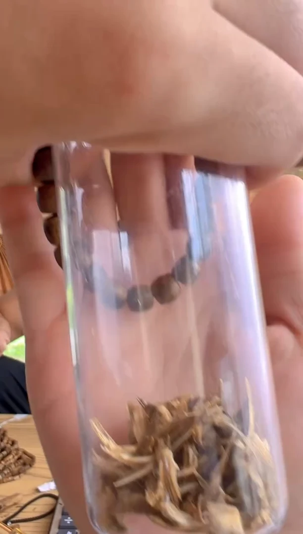 沉香碎屑沉香GZ1奇楠福利款多样性发一